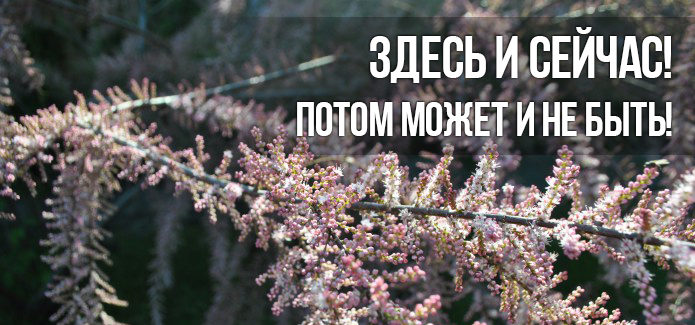 здесь и сейчас